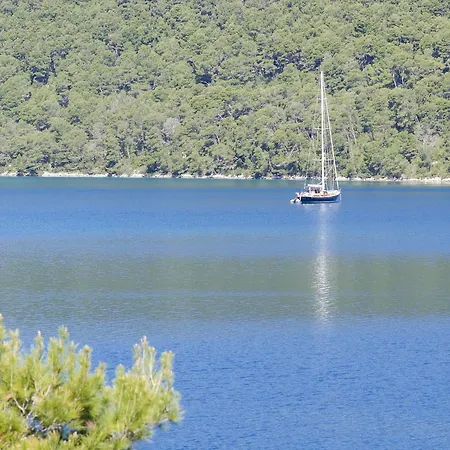 Matana Chano Polače