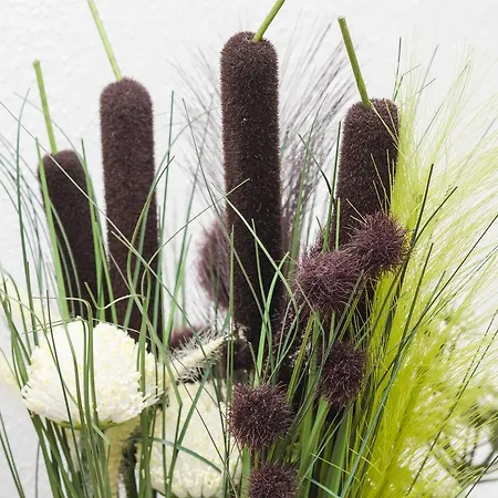 Matana Chano דירה *